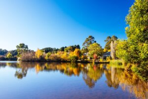 Forest Lake QLD